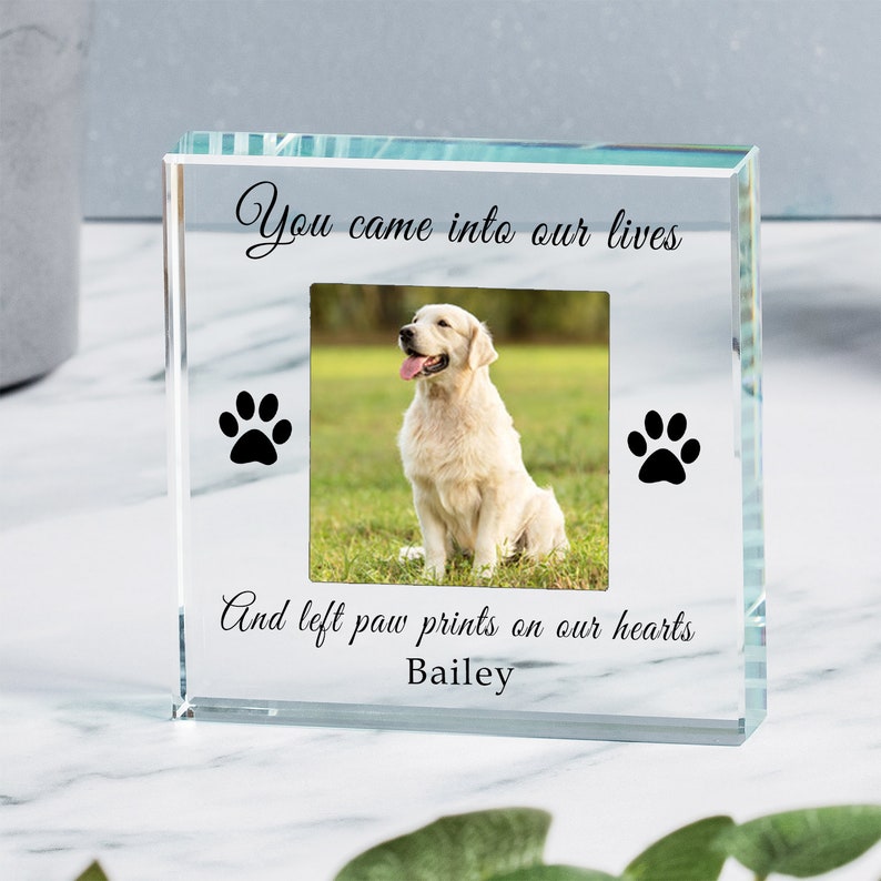 May include: A glass photo frame with a paw print design. The frame has a space for a photo and the text "You came into our lives and left paw prints on our hearts Bailey".