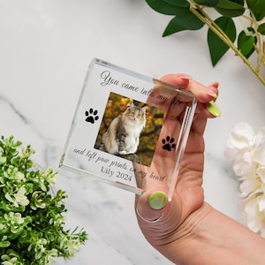 May include: A clear glass photo block with a picture of a cat and the text "You came into my life and left paw prints on my heart Lily 2024".