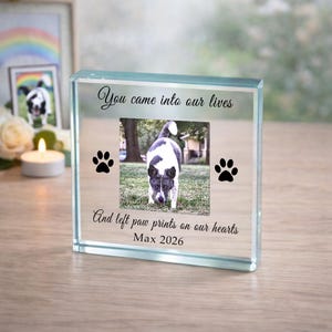 Bespoke Pet Memorial Gift, Pet Memory Gift, Dog Memorial Gift, Personalised Photo Cat Gift, Left Paw Prints On Our Hearts Glass Token image 2