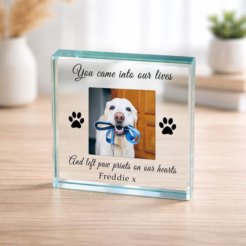 Bespoke Pet Memorial Gift, Pet Memory Gift, Dog Memorial Gift, Personalised Photo Cat Gift, Left Paw Prints On Our Hearts Glass Token image 4