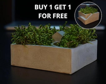 Green office anti stress moss concrete pot green health small forest decorative desk pot decorative table pot moss cement nature pot