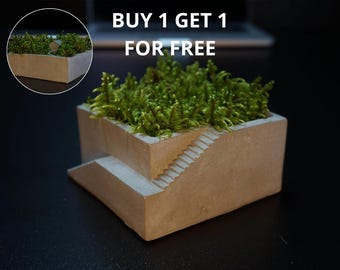 Pot of grass green pot office desk decoration small forest pot table moss pot nature desk pot anti stress thing bedroom decoration DIY pot