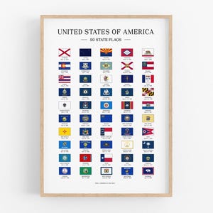 USA State Flaggen Poster, Amerikanische Flaggen, Schulposter, Klassenzimmerdekor, Geschichte der Vereinigten Staaten, Bürowandkunst, Geographie