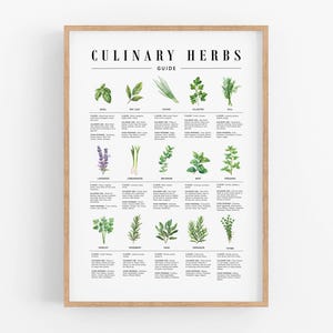 Puede incluir: Una impresión enmarcada titulada "CULINARY HERBS GUIDE" presenta ilustraciones en acuarela de varias hierbas. La guía incluye nombres como albahaca, hoja de laurel, cebollino y perejil, con descripciones de su sabor y usos. El marco es de color marrón claro.