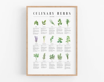 Kräuter Anleitung zum ausdrucken, Küche Poster Download, Kräuteraroma Speisen Tabelle für Köche, Kulinarisches Kochen Poster, Digitaler Download