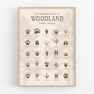 Póster de huellas de animales del bosque, huellas de animales para niños, cuadro de huellas de animales, impresiones artísticas de vida silvestre, arte de pared para guardería, arte de pared para cabaña, huella de pata