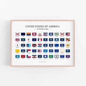 Poster med amerikanska statsflaggor, amerikanska flaggor, amerikanska 50 statsflaggor, pedagogiska tryck, klassrumshistoria i USA, USA, väggkonst med statsflaggor