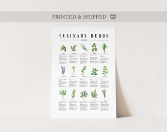 Kulinarischer Kräuterführer Print, Kräuter- und Gewürztabelle, Küchenposter, Kräutermischung, Gartenküche, Würze, Gewürztabelle
