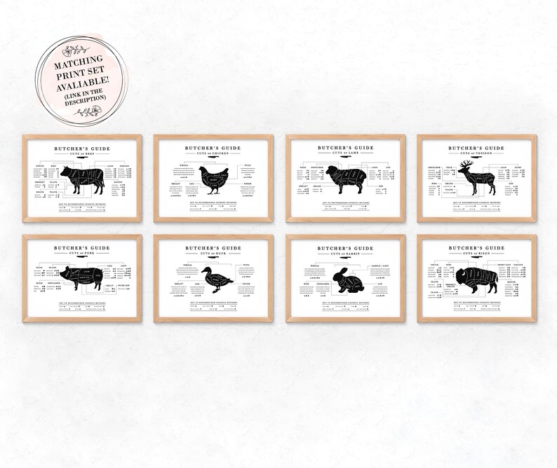 a set of enight black and white graphic illustration of butcher posters of popular meats for cooking. Guide demostrates different cuts of meat for each animal such as beef, pork, chicken, lamb, bison, venison, rabbit