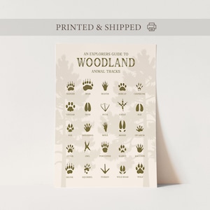 Póster de huellas de animales, guía de campo de huellas de animales del bosque, póster de huellas forestales, explorador de la vida silvestre, póster para el aula, lámina artística para guardería.