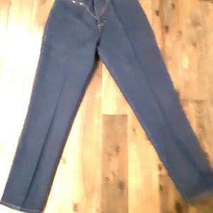 Vintage Ozark Mountain Western Jean&#39;s (size 15)