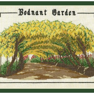 May include: Cross-stitch artwork of Bodnant Garden, featuring a tunnel of yellow flowers and green foliage. The path leads to a garden with red flowers. The artwork is framed with a green border and the words "Bodnant Garden" are at the top.