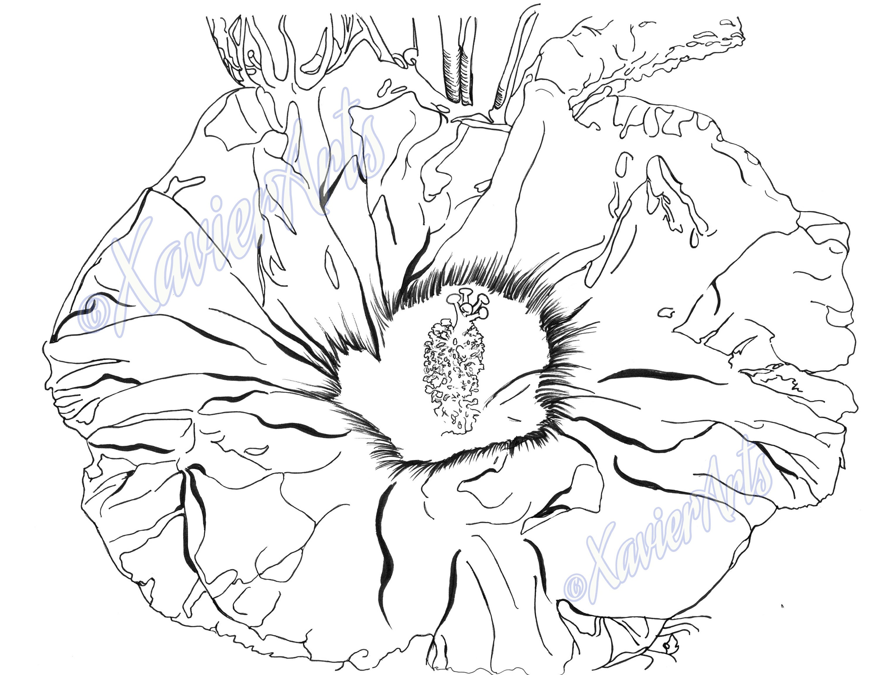 Flower coloring page