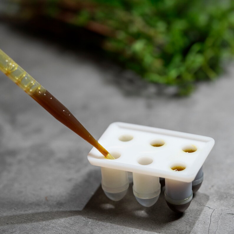 Suppository Mold Kit Made in France, 3 Sizes 1 Ml, 2 Ml, 3 Ml, Reusable