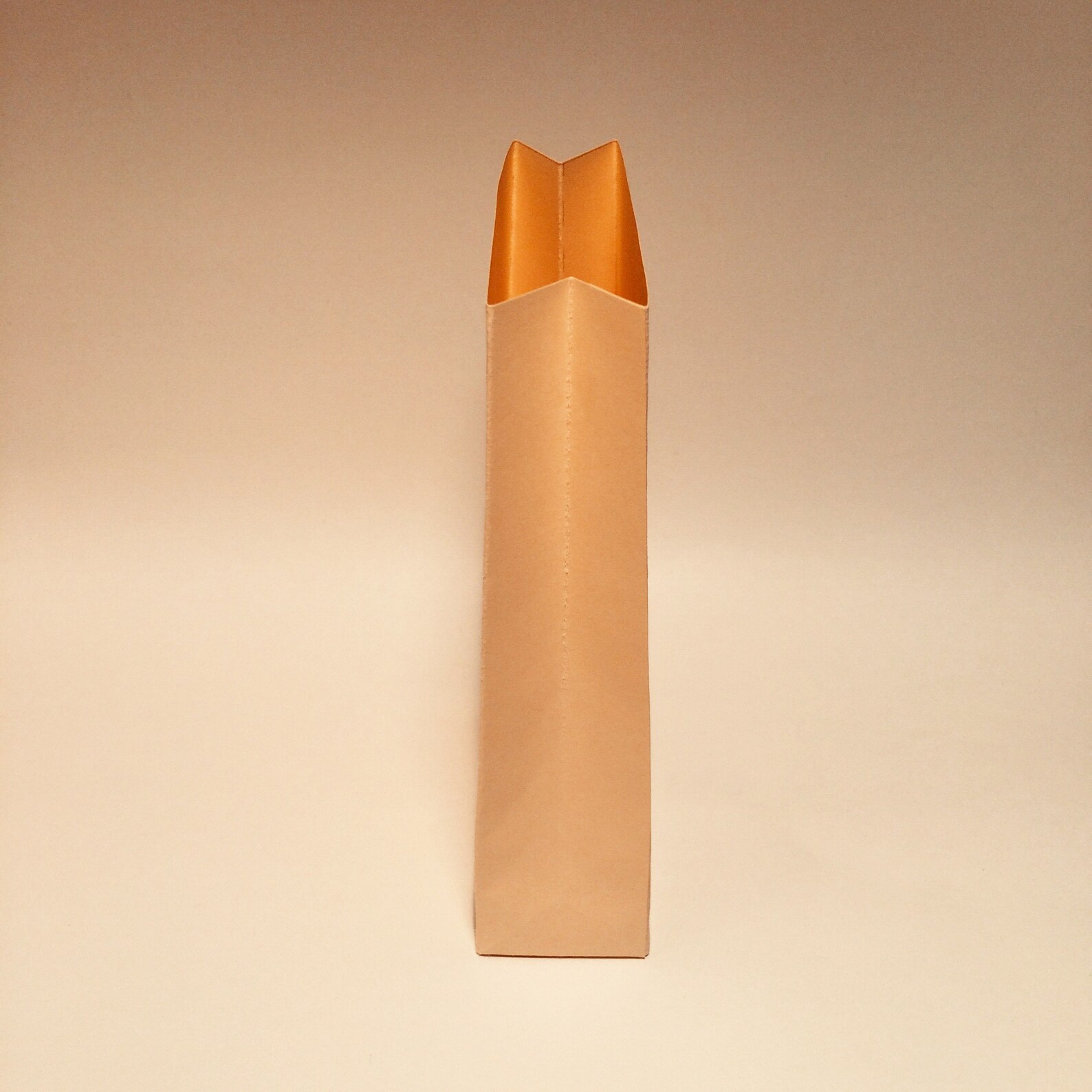 Grocery bag template grocery paper bag paper grocery bag Etsy