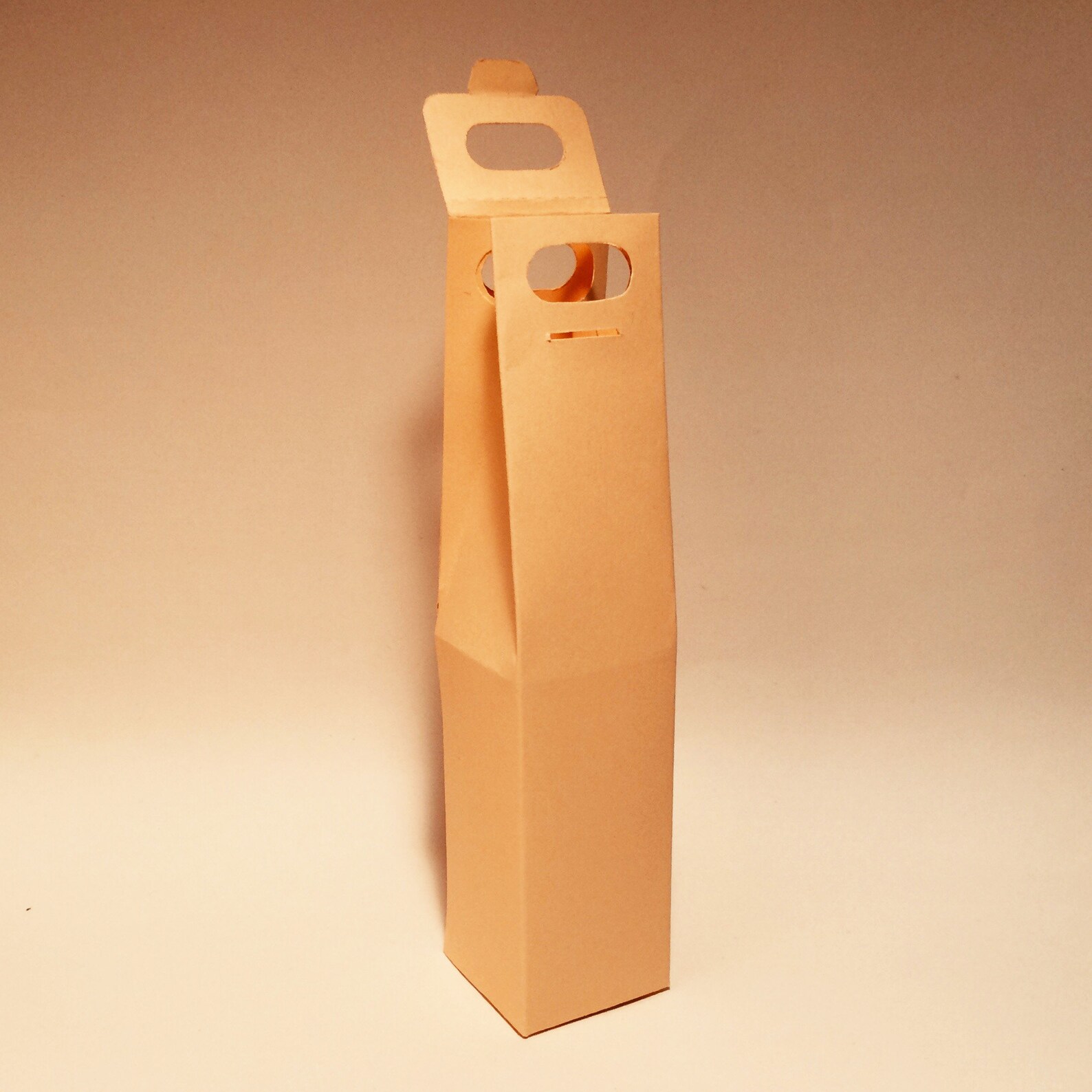 Wine Bag Template Wine Bottle Bag Alcohol Bag Liquor Bag | Etsy