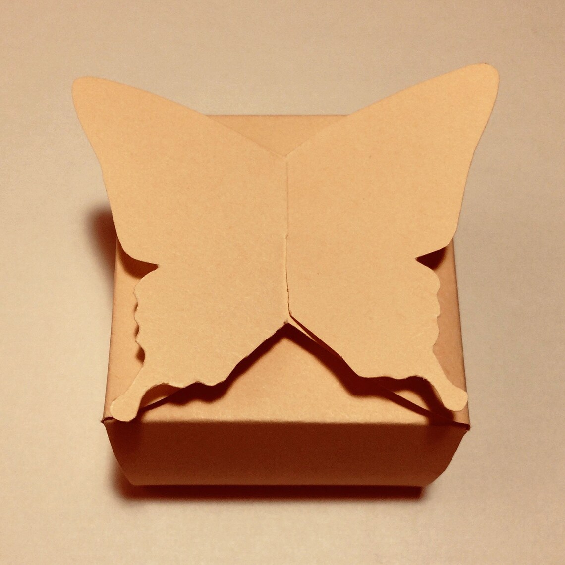 Butterfly box template butterfly gift box beautiful gift Etsy