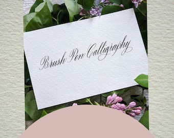 May include: A white card with the words "Brush Pen Calligraphy" in elegant script, surrounded by greenery and pink flowers. The text "Digital Download | Brush Pen Calligraphy Workbook" is at the top, and "The Graceful Pen Studio" is at the bottom.