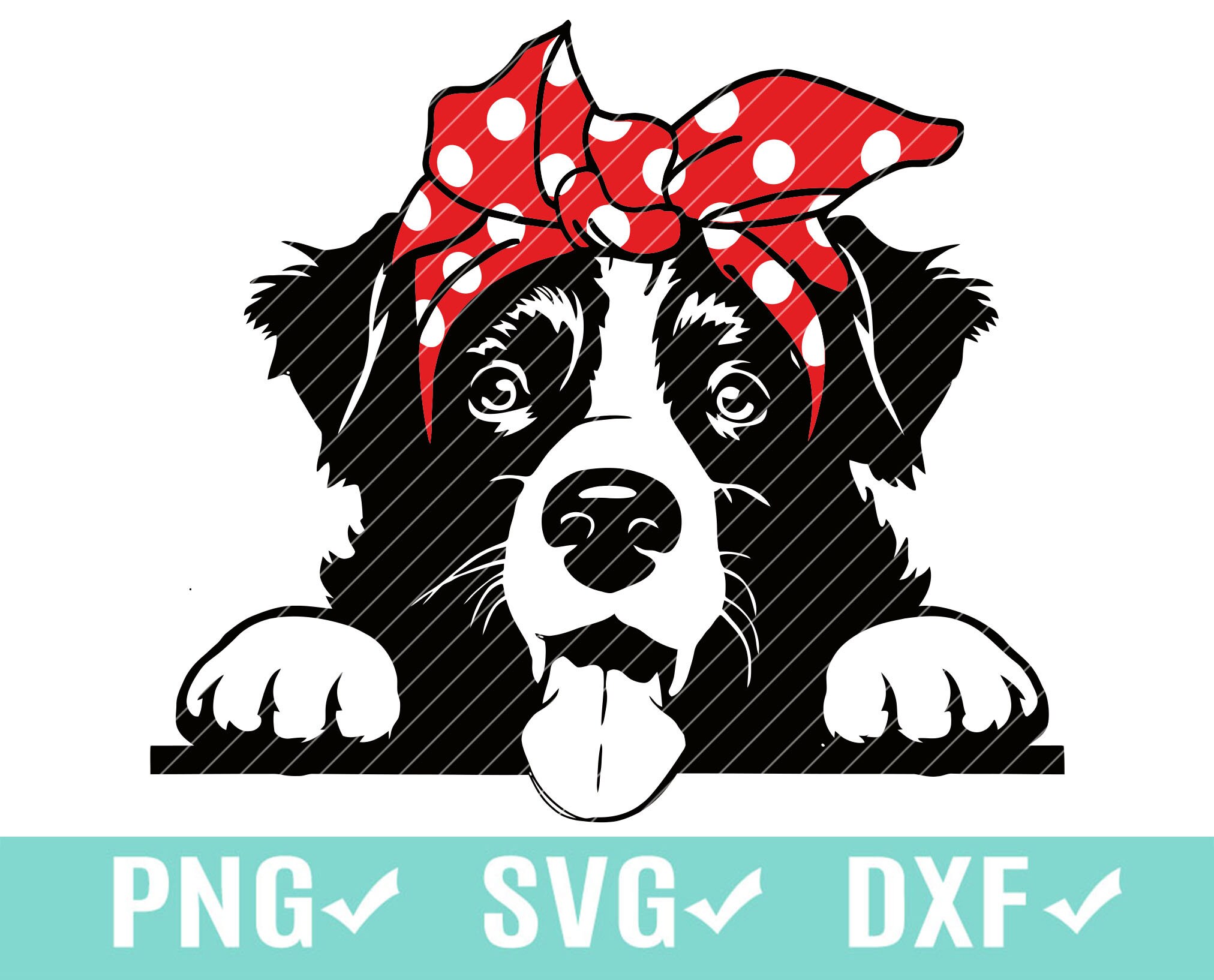 Download Border Collie SVG PNG Cutting Digital File silhouette Clip ...