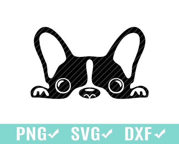 フレンチブルドッグ SVG、PNG、カッティングデジタルファイル