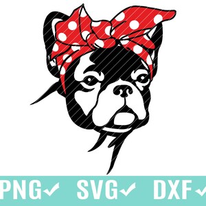 French Bulldog SVG, PNG, Cutting Digital File, silhouette, Clip Art, Cricut, Cute headscarf Frenchie Clip art Vintage dog svg