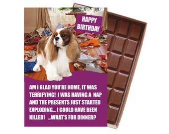 Cavalier King Charles Spaniel Birthday Gift Funny Cards for Dog Lover Pedigree Owner 100g Chocolate Greeting for Men Women Him Her CDLD134