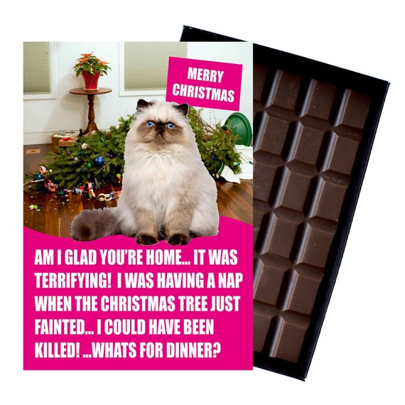 secret santa ideas for cat lovers