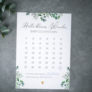 Baby Countdown | Kalender |  DIN A4 | Baby | eucalyptus | Schwangerschaft |