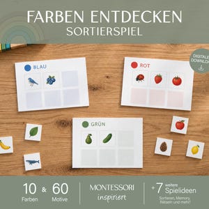 Könnte beinhalten: Ein Farbsortierspiel bestehend aus drei weißen rechteckigen Karten mit den Aufschriften BLAU, ROT und GRÜN, die mit farblich passenden Objekten wie einem blauen Vogel, einer roten Erdbeere und einer grünen Birne illustriert sind, sowie kleinen quadratischen Kärtchen.
