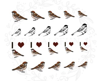 Sparrow Nail Art Water Decals