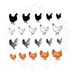 Décalcomanies aquatiques poulet