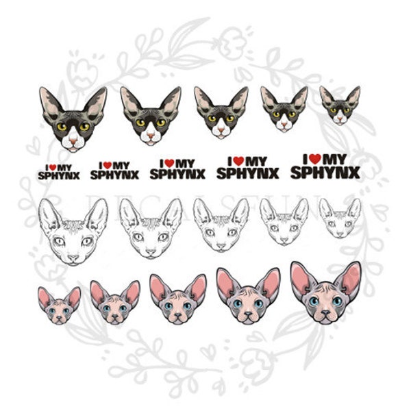 Sphynx cat Nail Art Water Decals