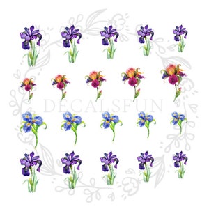 May include: A sheet of 18 watercolour iris flower decals. The decals feature purple, blue, and pink irises with green leaves. The decals are perfect for adding a touch of floral beauty to any project.