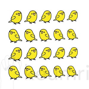 Pintinho Nail Art Decalques de Água