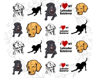 Labrador retriever Nail Art Water Decals