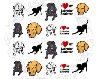 Labrador retriever Nail Art Water Decals