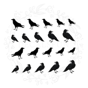 Rabe Krähe Nail Art Wasserabziehbild