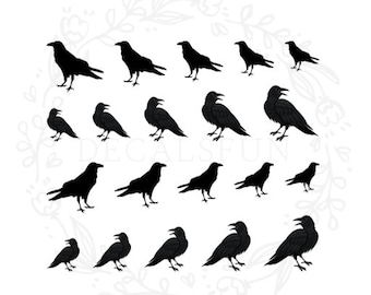 Raven Crow Nail Art Water Decals
