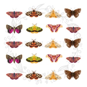 Könnte beinhalten: Eine Sammlung von 16 bunten Schmetterlings-Illustrationen mit verschiedenen Flügelmustern und Farben, darunter Braun, Orange, Gelb, Pink, Grün und Rot.