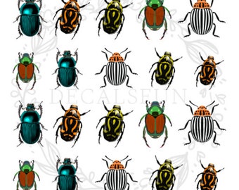 Beetle Nail Art Water Decals