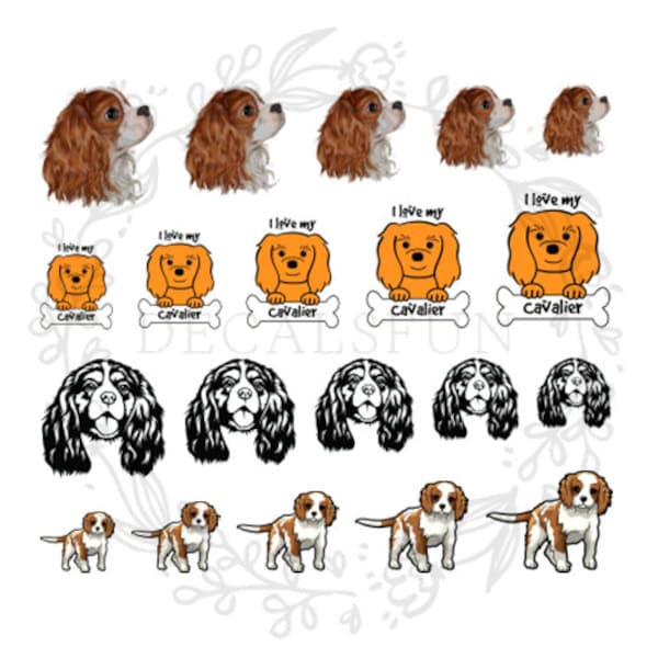 Cavalier King Charles Spaniel Nail Art Water Décalcomanies