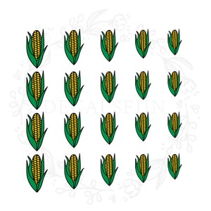May include: Twenty-four yellow and green corn on the cob illustrations. The corn is drawn in a cartoon style with a simple design.
