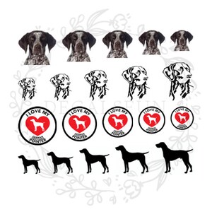May include: A digital sheet of stickers featuring a German Shorthaired Pointer dog. The stickers include images of the dog in various poses, as well as a circular sticker with the text "I Love My German Shorthaired Pointer" and a red heart.