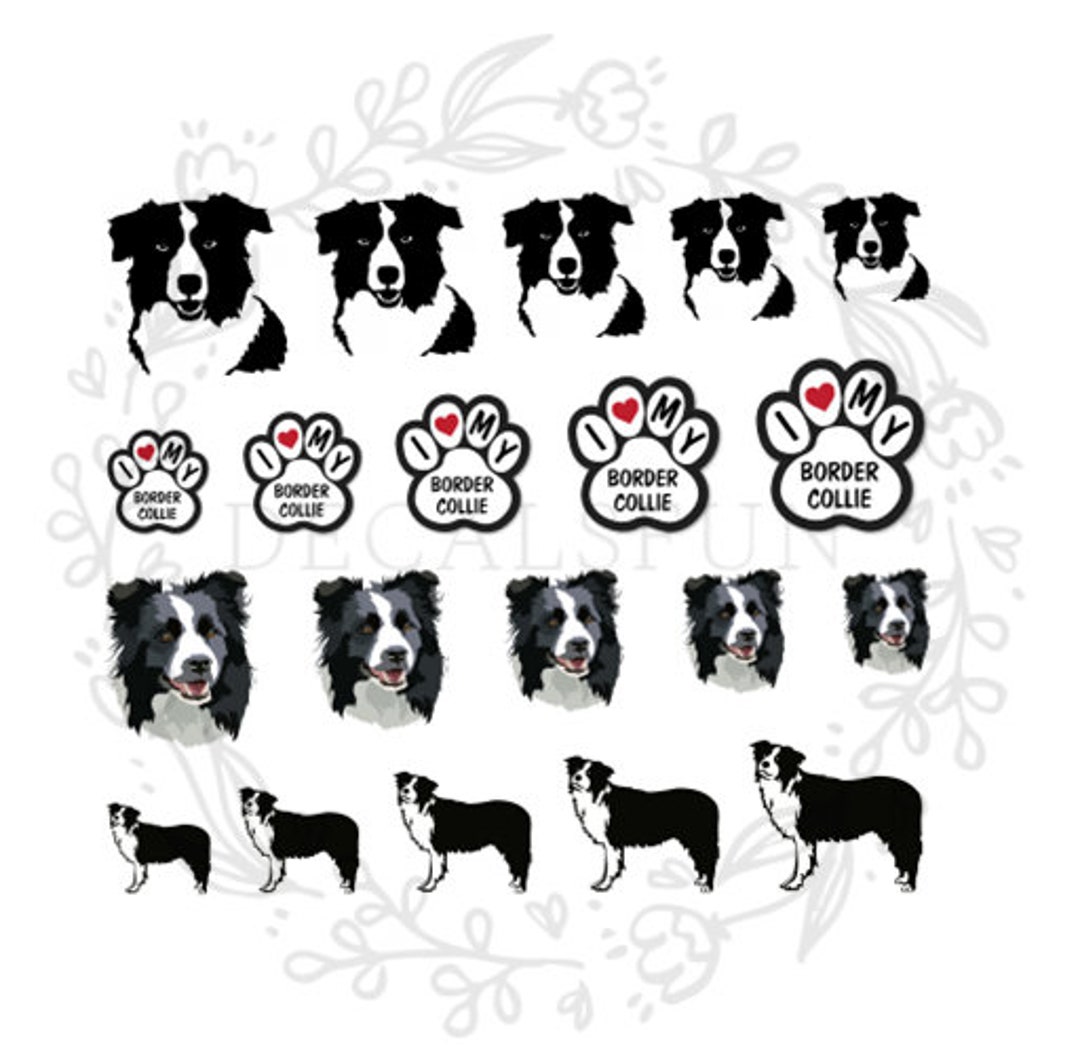 Border Collie Nail Art Water Decals Etsy