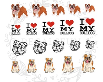 Bulldog Nail Art Water Decals