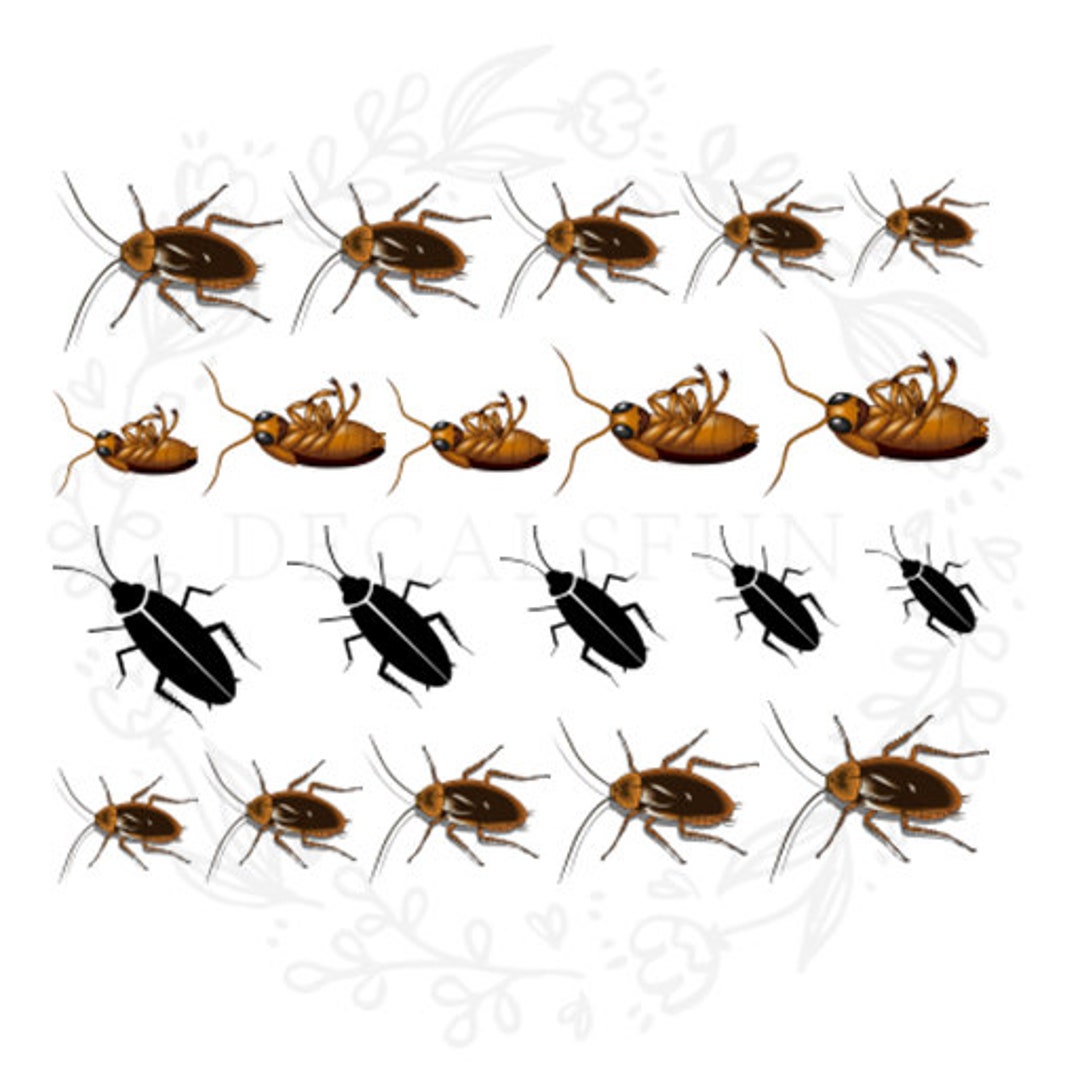 Cockroach Nail Art Water Decals - Etsy