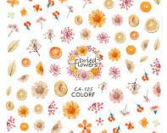 Autumn nail art stickers ca-125