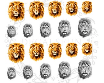 Lion Nail Art Water Decals