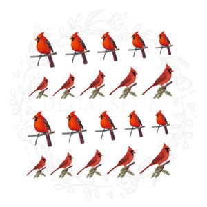 Cardinal Nail Art Water Decals