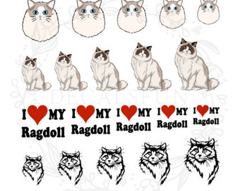 Ragdoll cat  Nail Art Water Decals